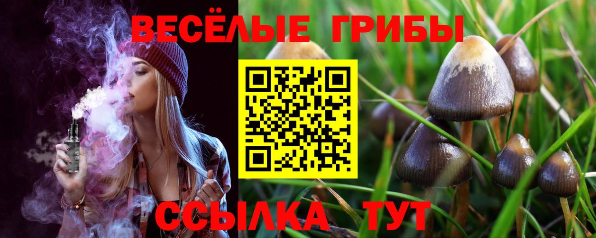 Северск  Псилоцибиновые грибы Magic Shrooms  цена   Псилоцибиновые грибы мицелий  Вход с VPN 