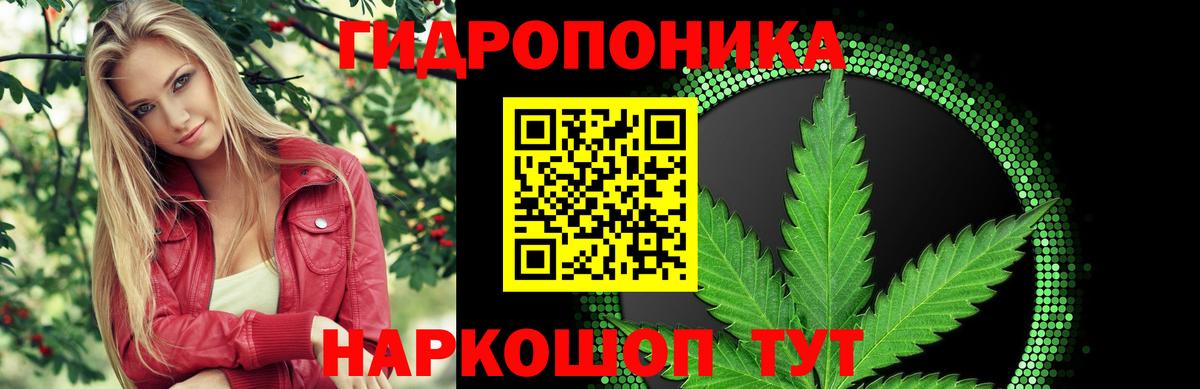 Шишки марихуана AK-47  Марихуана THC 21%  Бошки марихуана семена  Северск  Вход с VPN  Бошки марихуана VHQ 